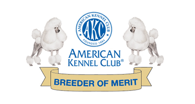 AKC Breeder of Merit