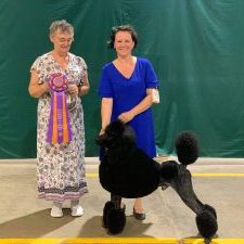 Romeo Takes Home A Reserve Best in Show over +- 200 dogs!!